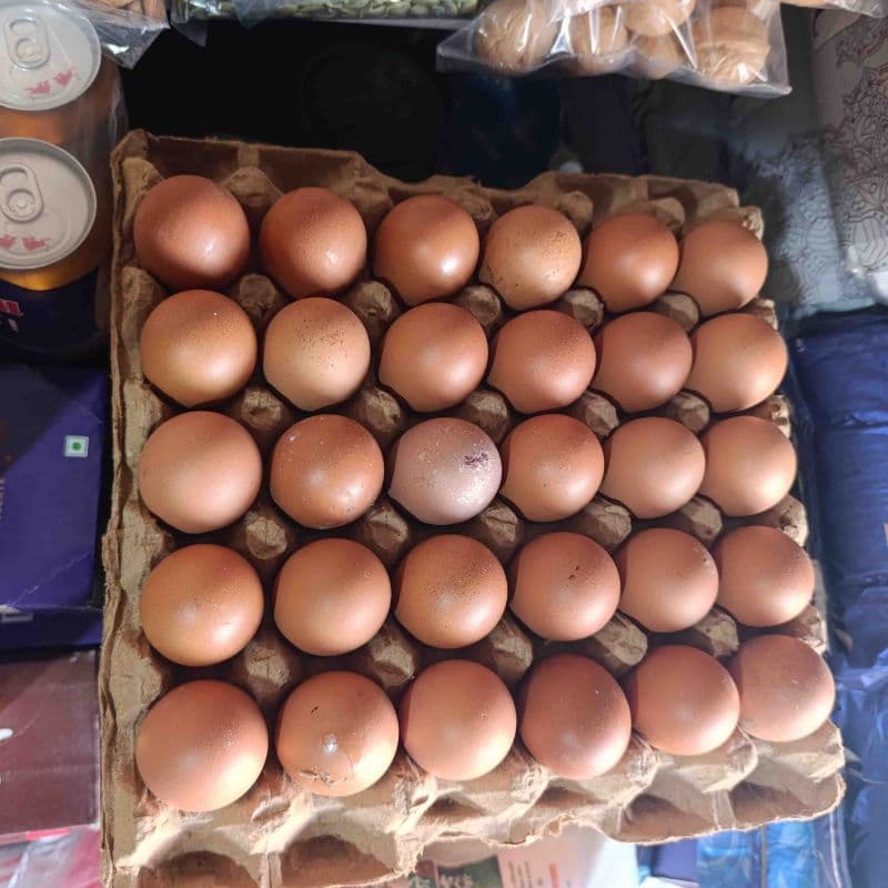 Egg