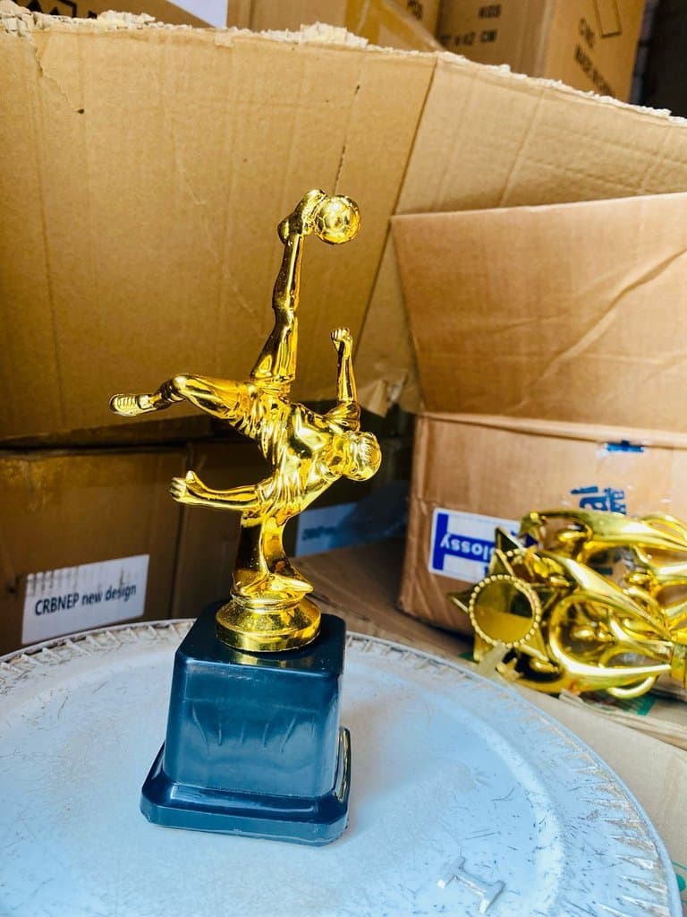Small Trophy Football