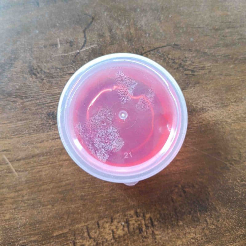 Slime
