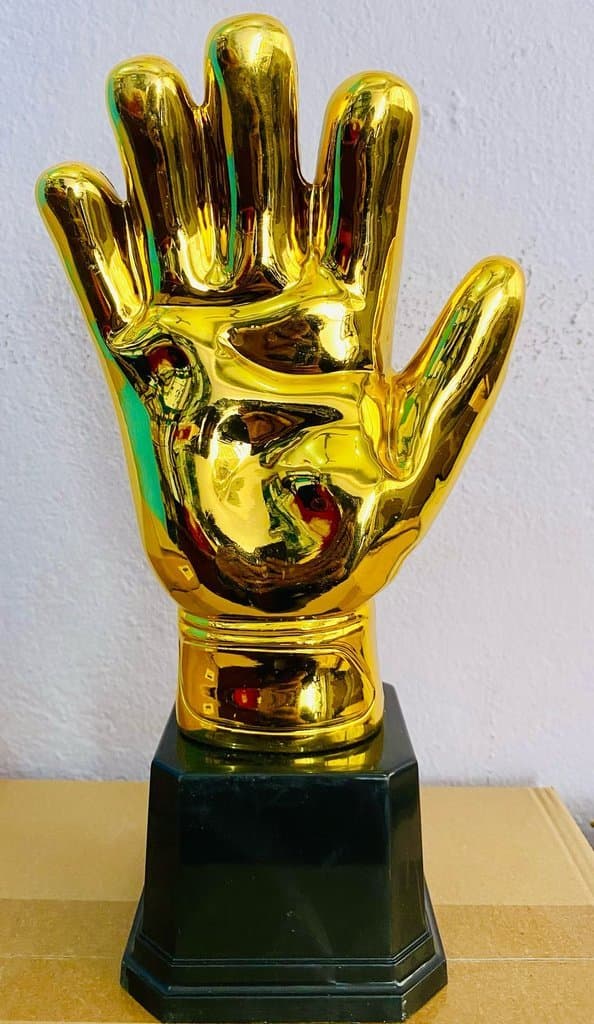 Golden Glove (30*14*11)