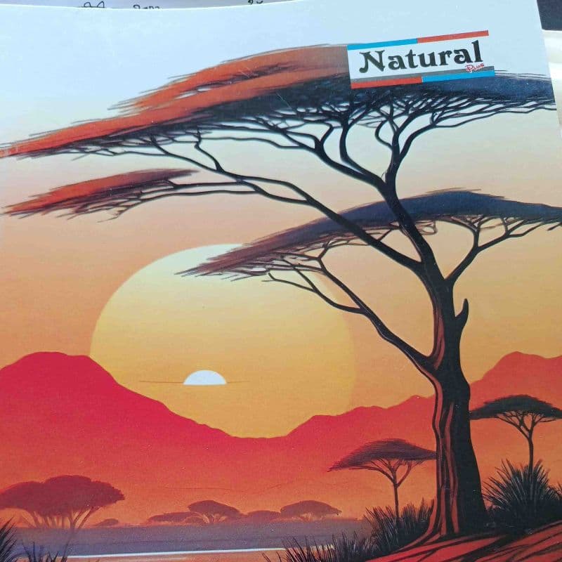 Copy 12