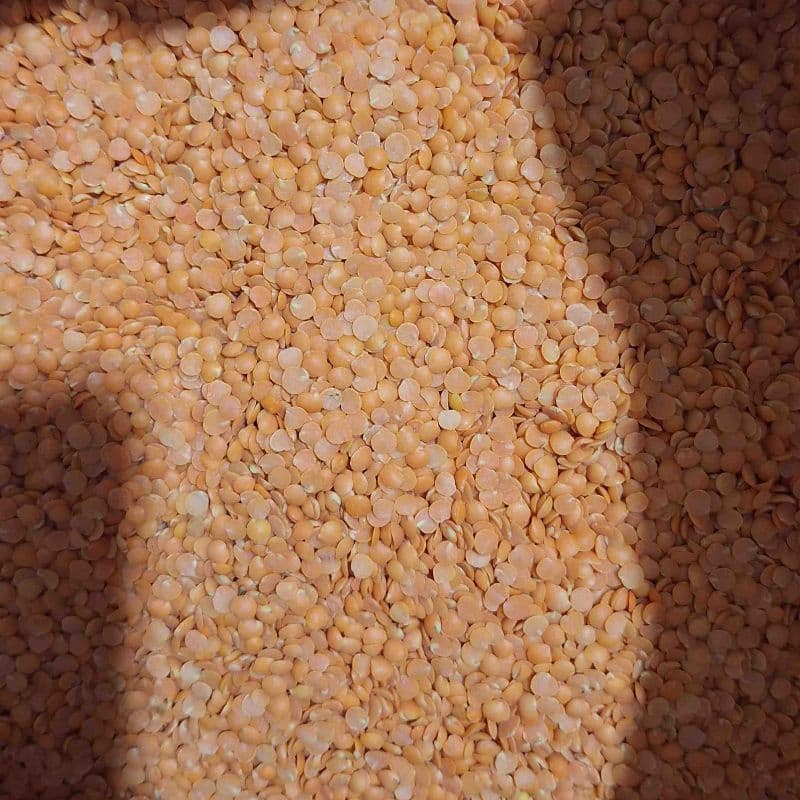 Musur Daal