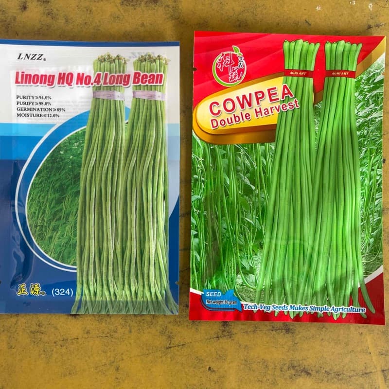 तने बोडी 20 gm