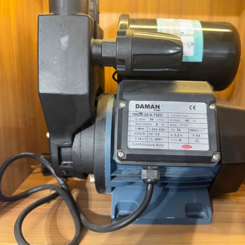 DAMAN 1 HP Automatic Pressure Pump