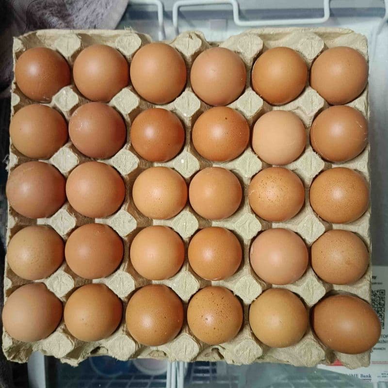 Eggs 🥚