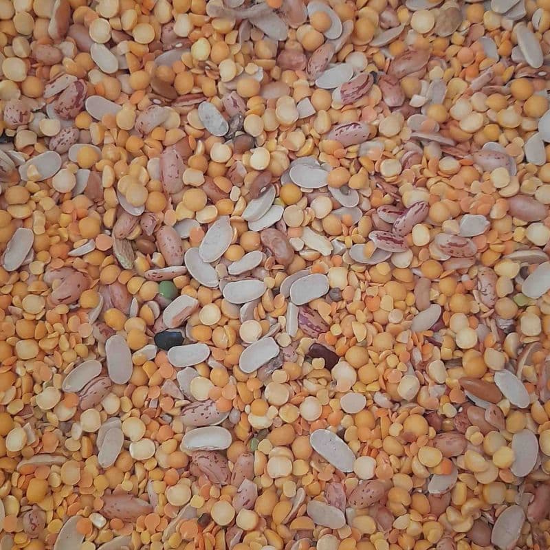 Mix Dal