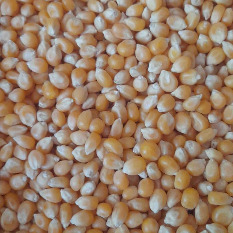 मुरेली मके