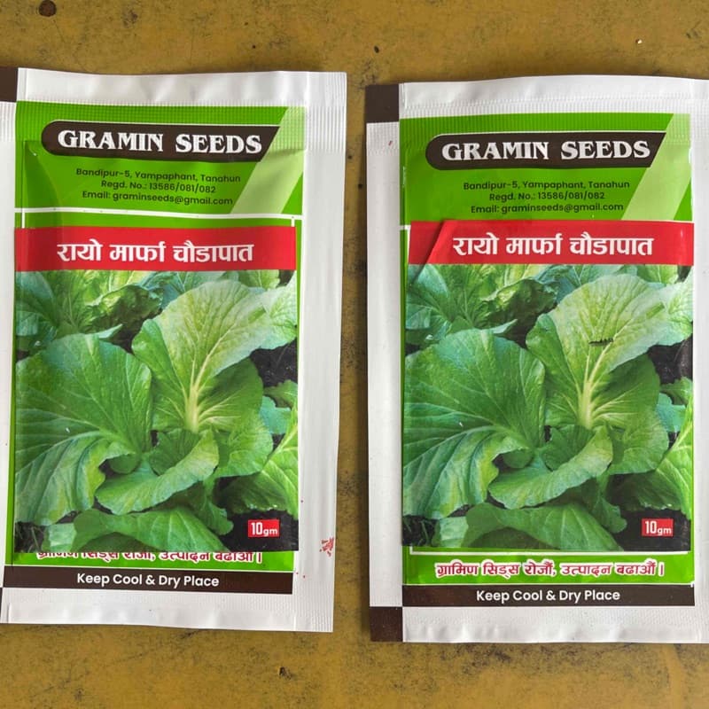 रायो मार्फा चौडापात