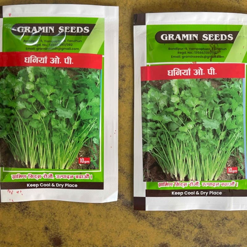 धनिया 20 gm