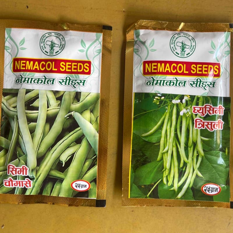 घिऊ सिमी 20 gm