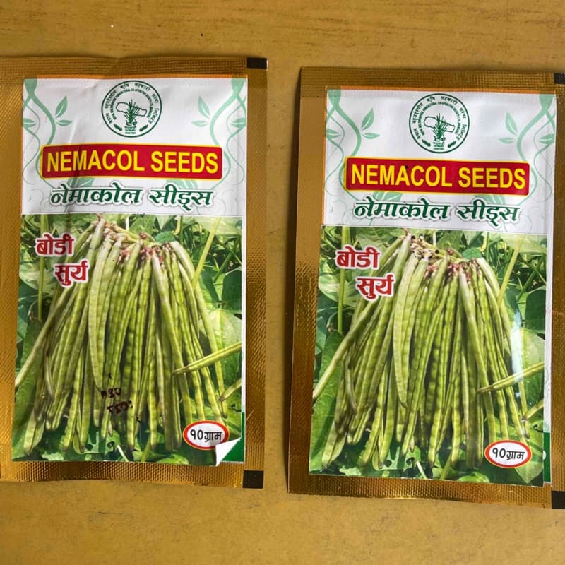 सूर्य बोडी 20 gm