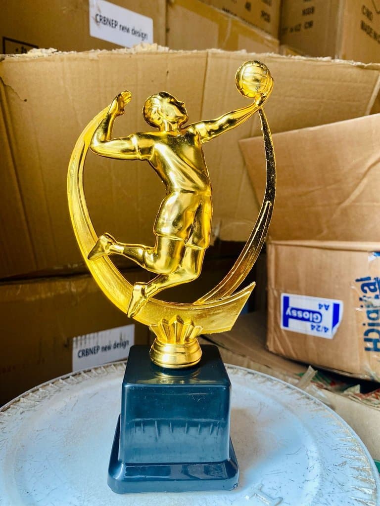 Small Trophy Volleyball