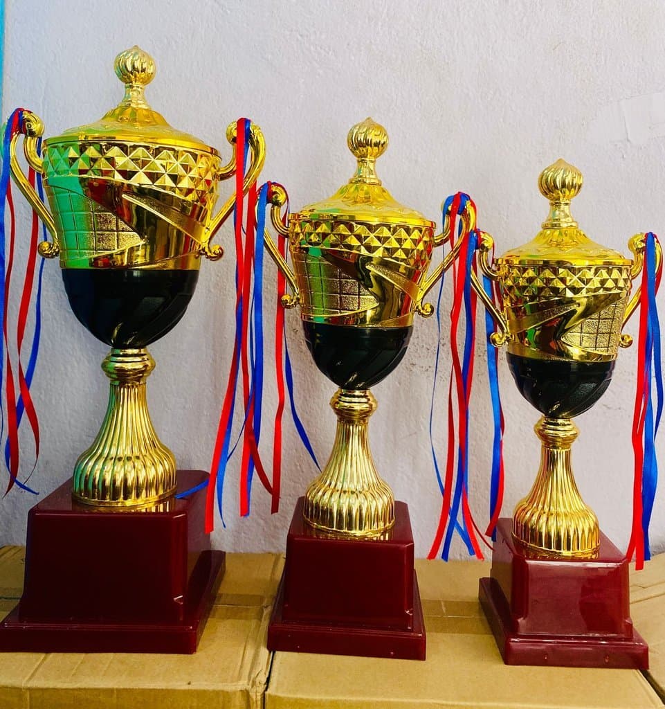 Fiber Trophy Black Belt