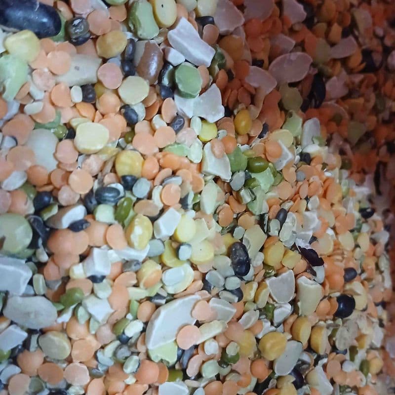 Mix Dal