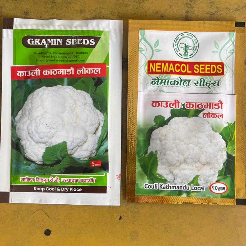 काठमाण्डौ लोकल काउली १० Gm