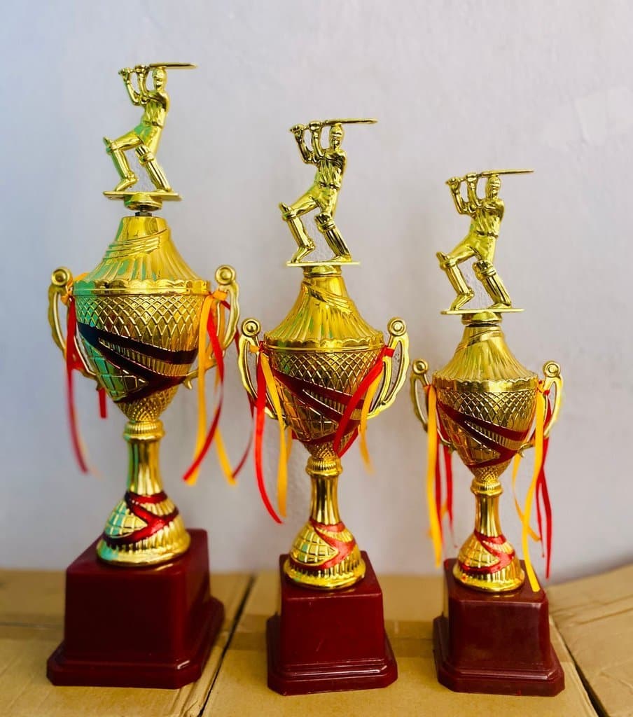 Fiber Trophy Cricket