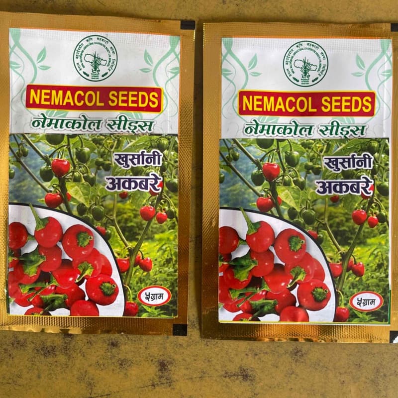अकवरे खुर्सानी 5 gm