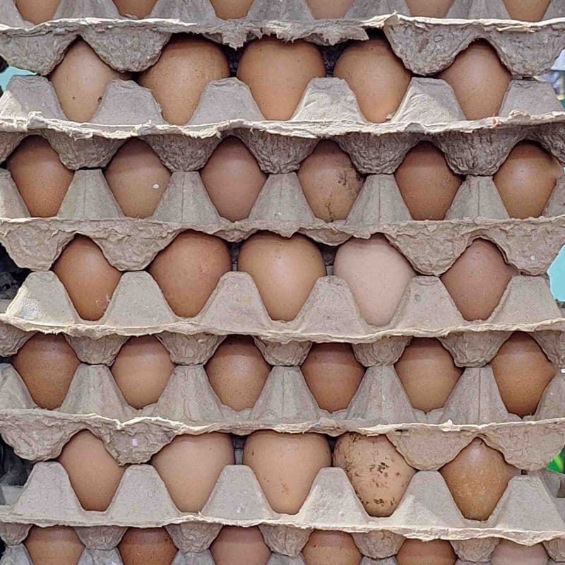 Eggs