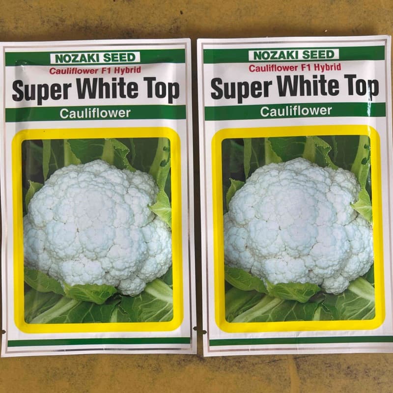 SUPER WHITE TOP काउली