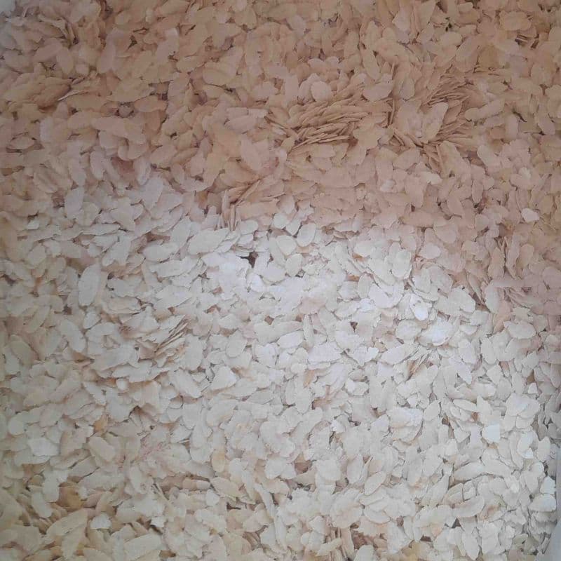 Chiurra Khulla